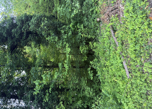 Property at Lot 17 Ashley St, Kingsport, TN 37664
