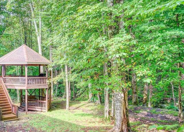 Property at 206 Toms Creek Circle Cir, Roan Mountain, TN 37687