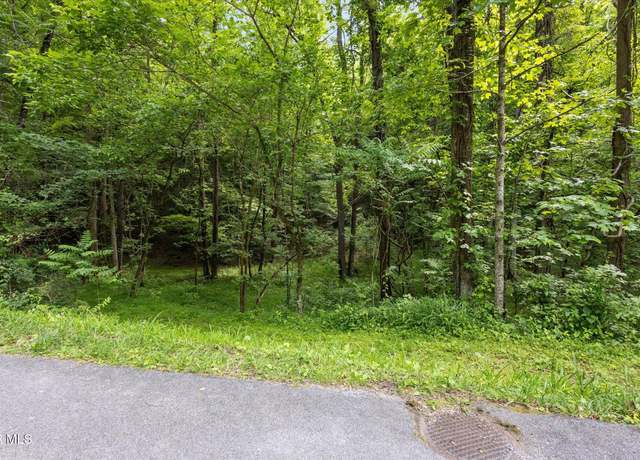 Property at Tbd Rich Hollow Rd, Erwin, TN 37650