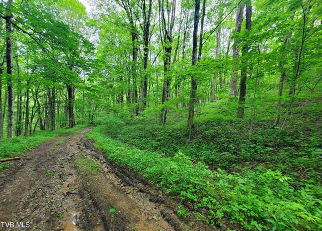 Property at 888 Heaton Creek Rd, Roan Mountain, TN 37687