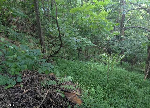 Property at 248 Bayberry Dr, Kingsport, TN 37663
