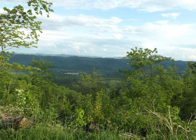 Property at 0 Osborne Ridge Rd, Dungannon, VA 24245