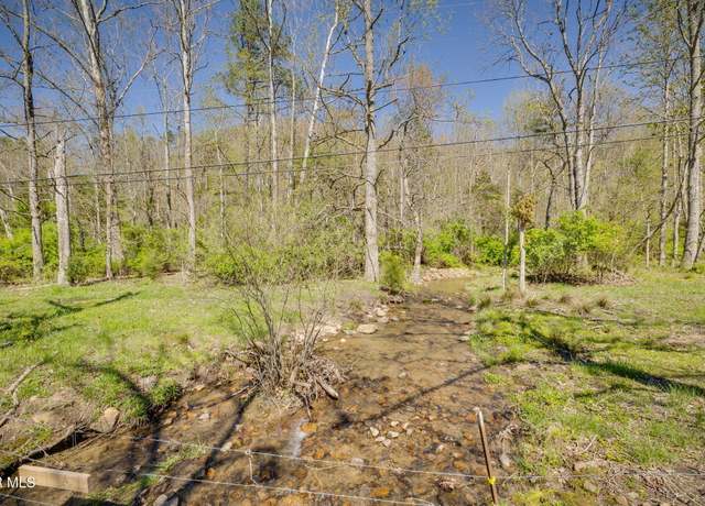 Property at Tbd Morrell Creek Ln, Bluff City, TN 37618