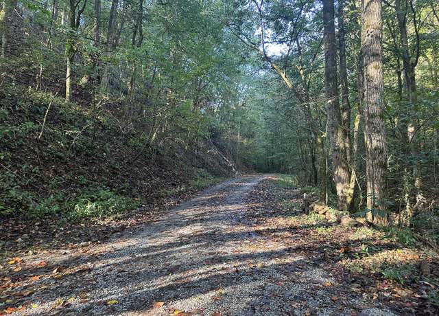 Property at Tbd Holt Town Rd Off, Newport, TN 37821