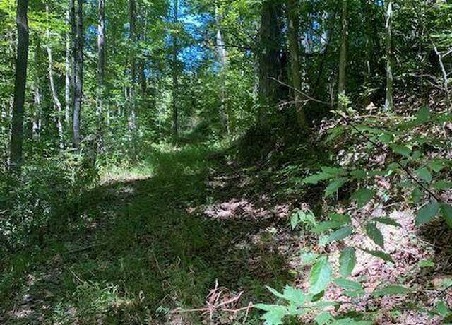 Property at Tbd Hurricane Rd, Jonesville, VA 24263