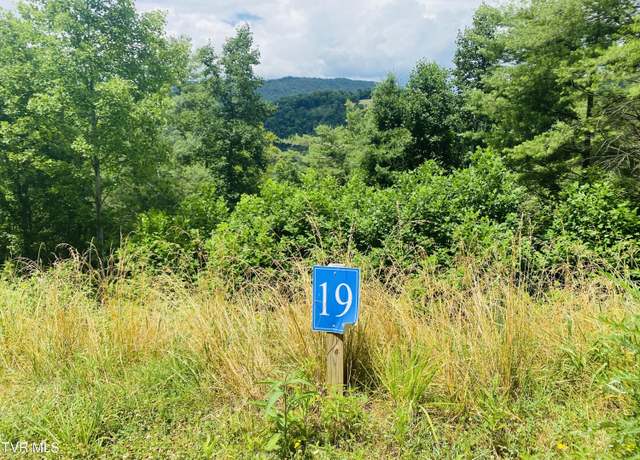 Property at 19 Cowan Town Rd, Butler, TN 37640
