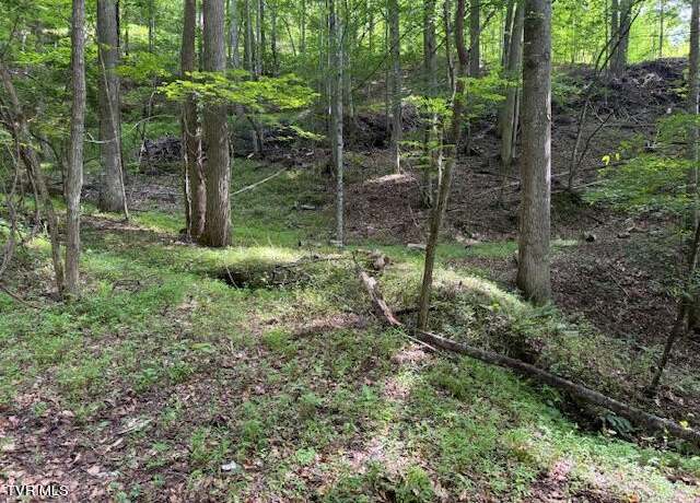 Property at 0 Cane Mountain Ln, Burnsville, NC 28714
