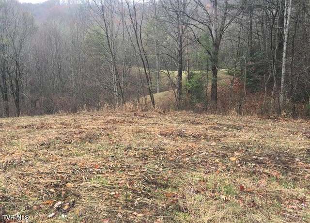 Property at 00 Heaton Branch Rd, Butler, TN 37640