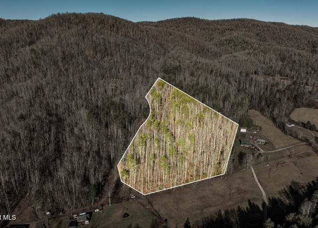 Property at Tbd Of D Payne Rd, Mountain City, TN 37683