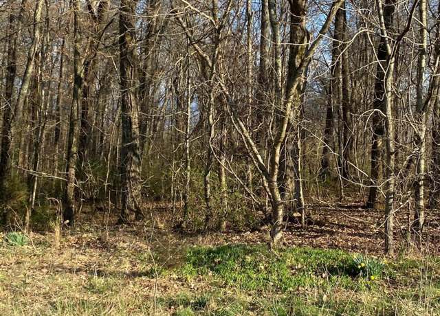 Property at 000 Shiloh Rd, Greeneville, TN 37745