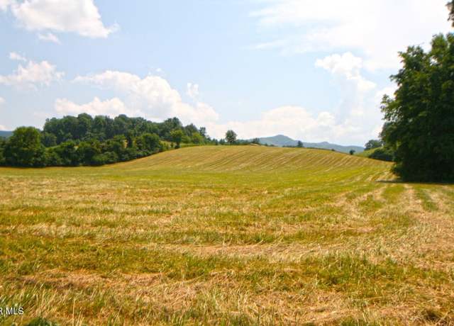 Property at 637 Long Hollow Rd, Elizabethton, TN 37643