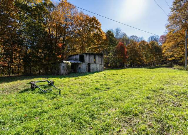 Property at 140 Doe Ln, Roan Mountain, TN 37687