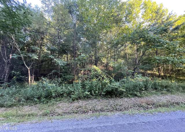 Property at 0 Speedwell Rd, Bulls Gap, TN 37711