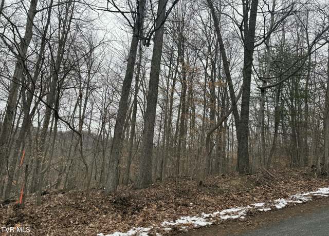 Property at Tbd Lot 4 Skyline Dr, Bristol, TN 37620