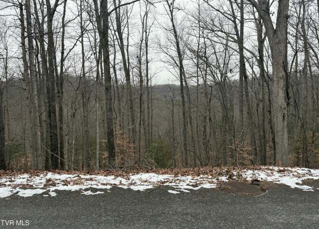 Property at Tbd Lot 5 Skyline Dr, Bristol, TN 37620