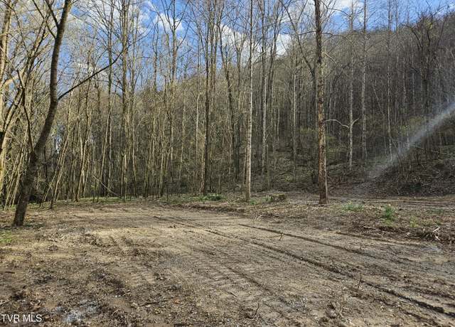 Property at Tbd Right Poor Valley Rd, Dryden, VA 24243