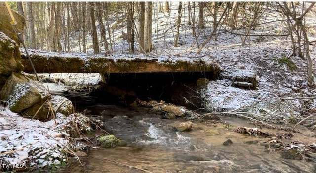Photo of Tbd Pete Creek Rd, Flag Pond, TN 37657