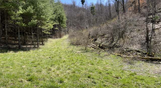 Photo of 02b Greer Branch Rd, Laurel Bloomery, TN 37680