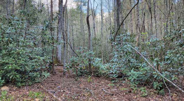 Photo of 00 Hill St, Butler, TN 37640