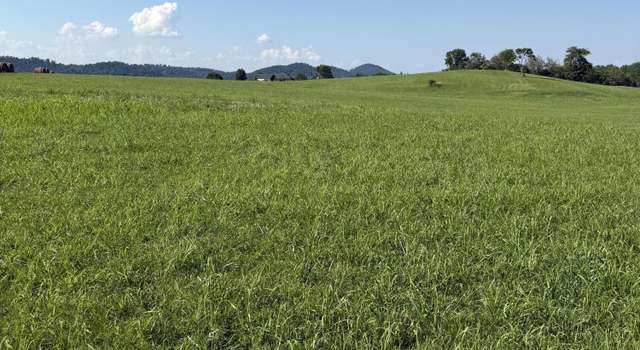 Photo of Lot 6 Mahoney Property, Hwy 81 N, Jonesborough, TN 37659