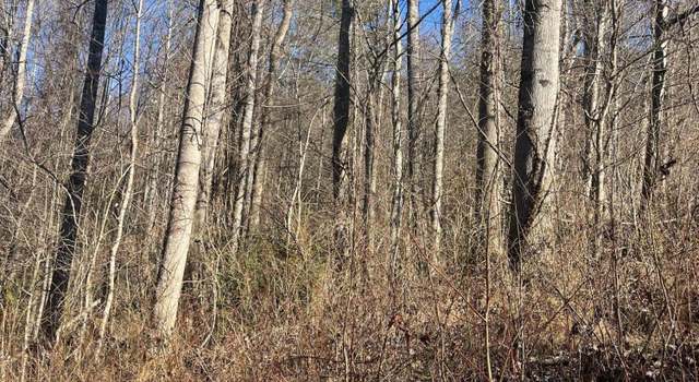 Photo of Tbd Hampton View Dr & 4th Ave, Hampton, TN 37658