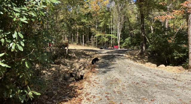 Photo of 104ac Tbd Fire Tower Rd, Mountain City, TN 37683