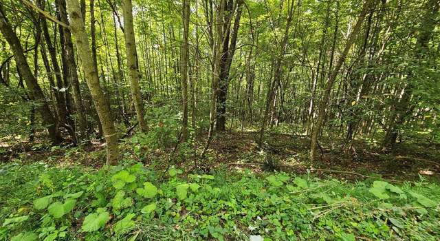 Photo of 13.51 Acre Cartwright Rd, Rowe, VA 24646