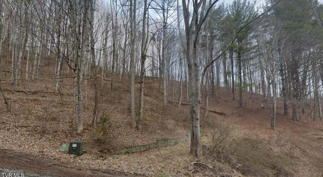 Photo of Tbd June Apple Ln, Trade, TN 37691