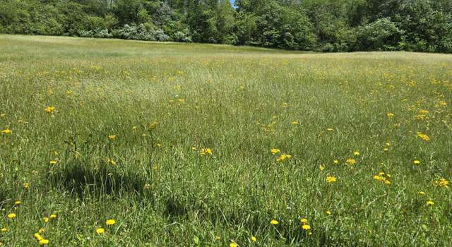 Photo of Tbd Unaka View Dr, Erwin, TN 37650
