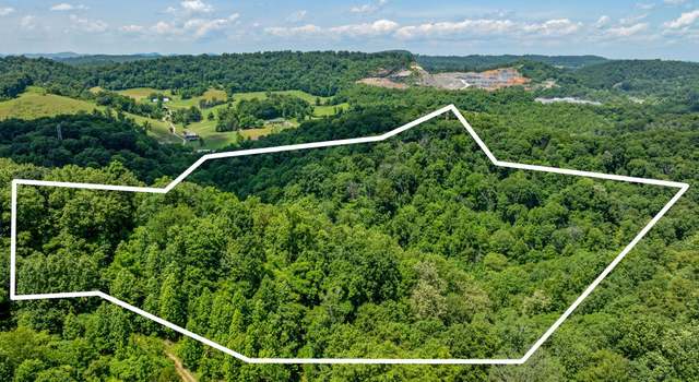 Photo of Tbd Island Rd S Of I-81, Bristol, TN 37620