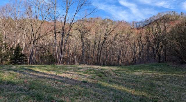 Photo of Tbd A P Carter Hwy, Gate City, VA 24251