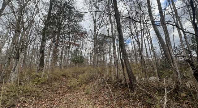 Photo of Tbd Renee Dr, Johnson City, TN 37601