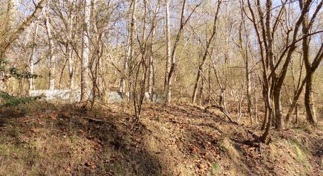 Photo of Tbd Holston St, Rogersville, TN 37857