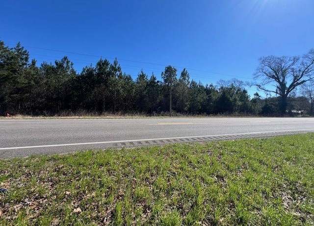 Property at 1ac Hwy 141, Brantley, AL 36009