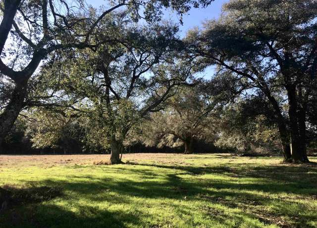 Property at 000 Open Pond Rd, Florala, AL 36442