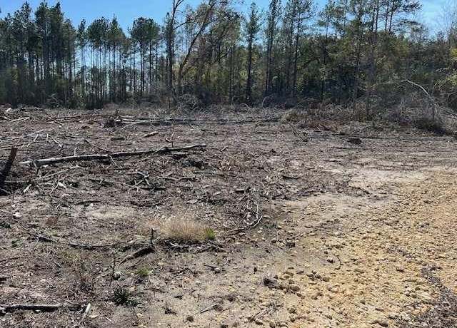 Property at 11ac AL Hwy 55, Florala, AL 36442