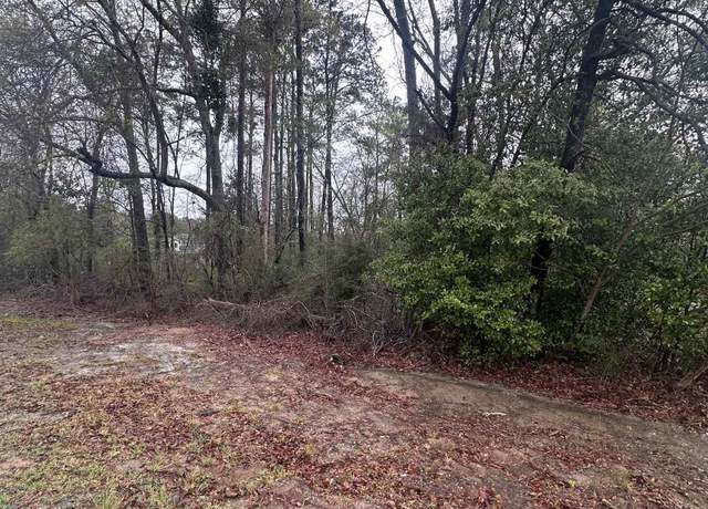 Property at TBD County Road 70, Andalusia, AL 36420