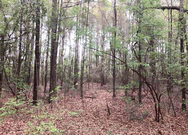 Property at 09 Beda, Wing, AL 36483