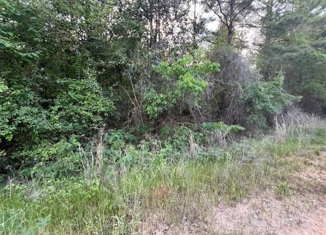 Property at Oakey Streak Rd, Red Level, AL 36474