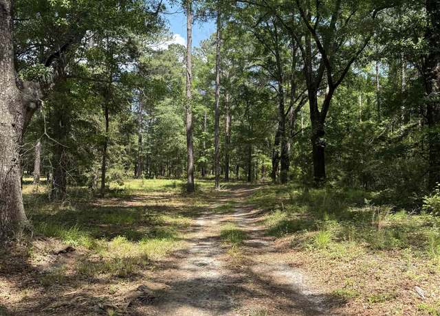 Property at 0000 Straughn School Rd, Andalusia, AL 36421