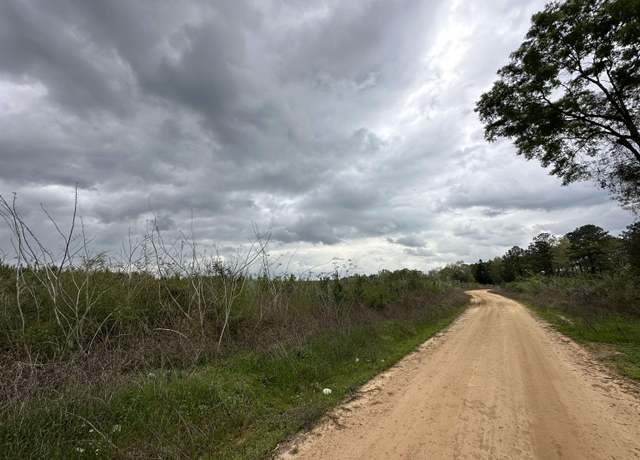 Property at Tract#6103 Cox Rd, Red Level, AL 36474