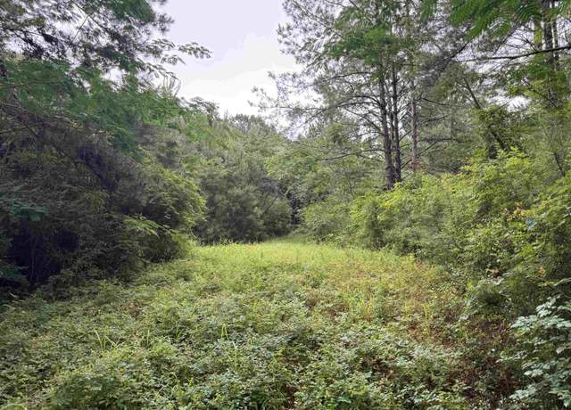 Property at 29660 Hammett Rd, Andalusia, AL 36420