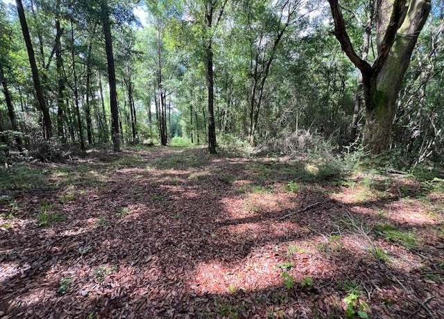 Property at 10 ac Highway 84 W, Opp, AL 36467