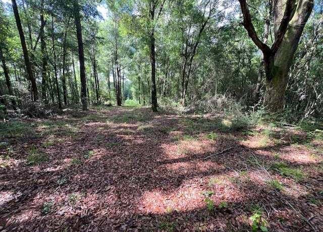 Property at 000 Hwy 84 West, Opp, AL 36467