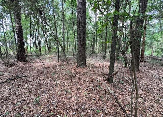 Property at 000 Hwy 84 West, Opp, AL 36467