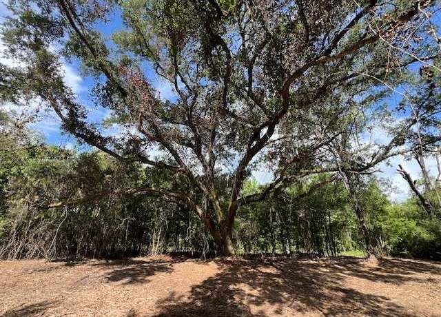 Property at 3 ac Laird Rd, Florala, AL 36442