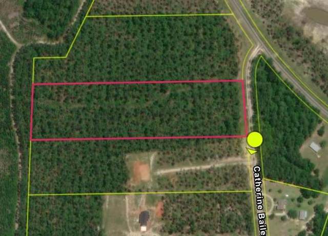 Property at 00 Catherine Bailey Rd, Andalusia, AL 36421