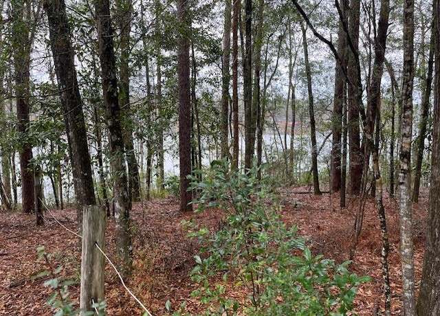 Property at 00 Sandy Landing Rd, Andalusia, AL 36421