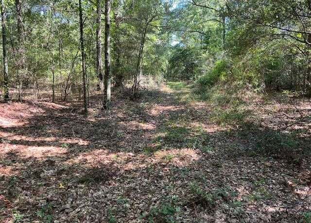 Property at 000 County Road 70, Opp, AL 36467
