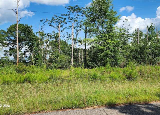 Property at 33816 Hesters Store Rd, Red Level, AL 36474
